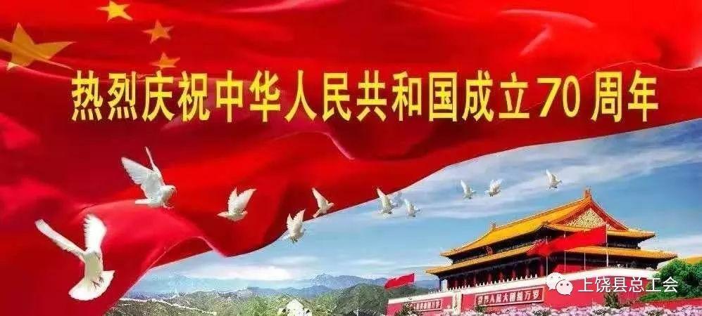 探索用什么可以代替狗粮?-知识星球平台