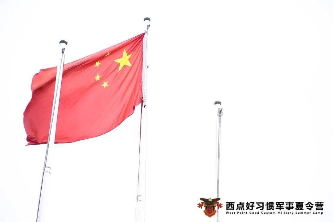 工作令人崩溃,如何坚持下去?-专业的问答类网站