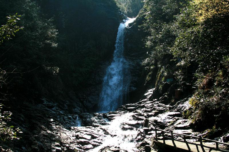 虫虫助手下载
